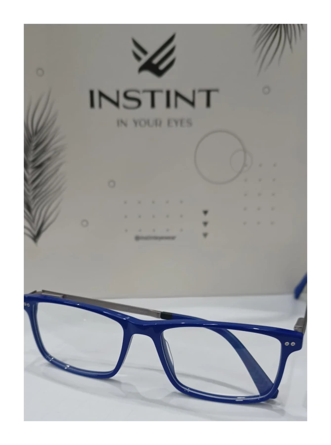 Instint